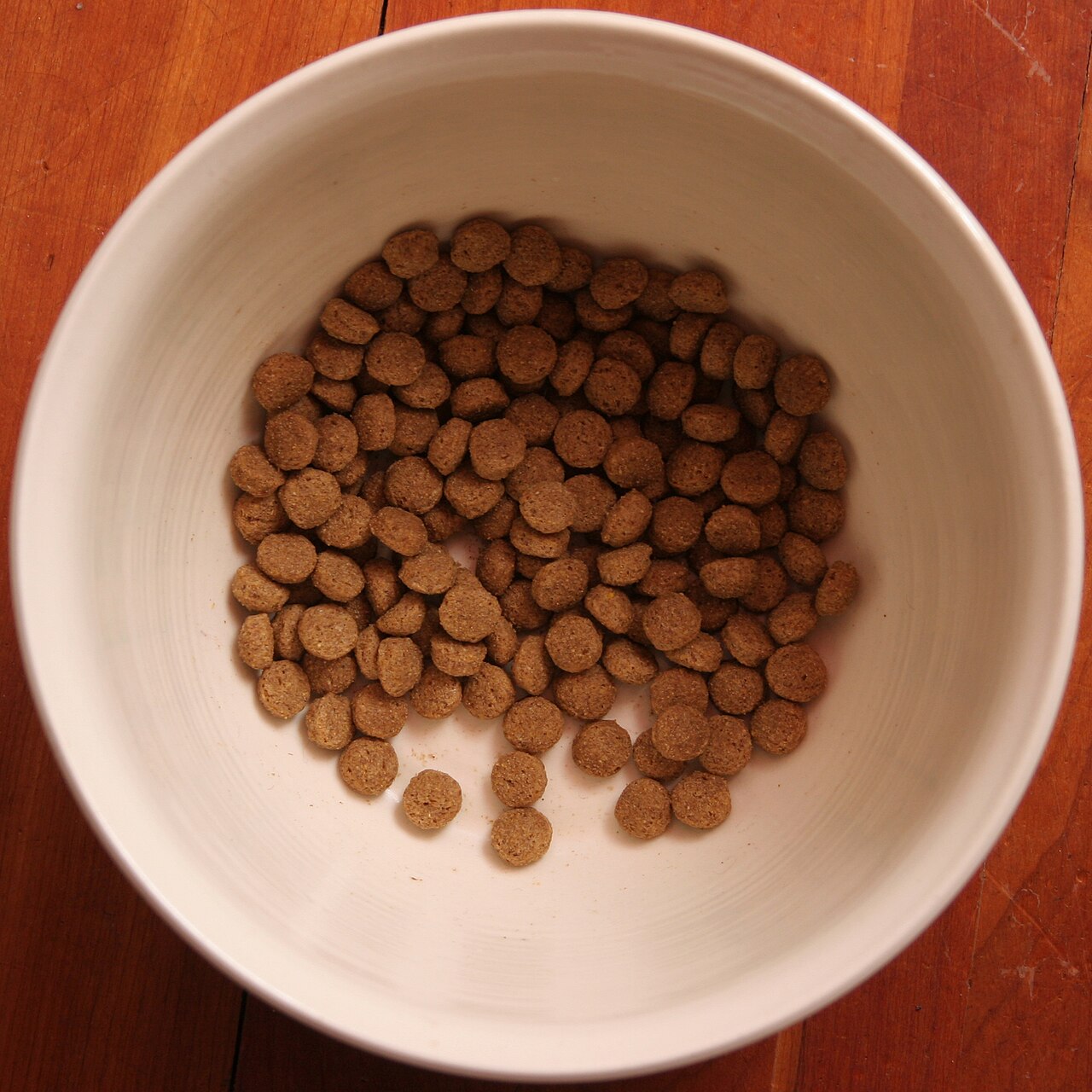 A bowl of dry dog kibble on a wooden surface