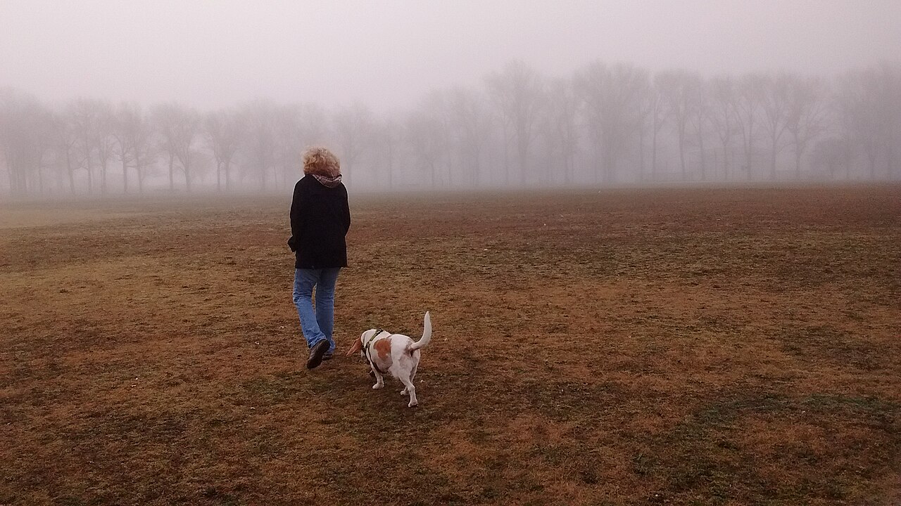 A person walking a small dog across an open field
